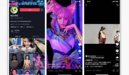 网红的爆料视频大全集播放,揭秘娱乐圈幕后真相